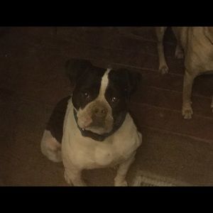 Meet your Posher, Cheron